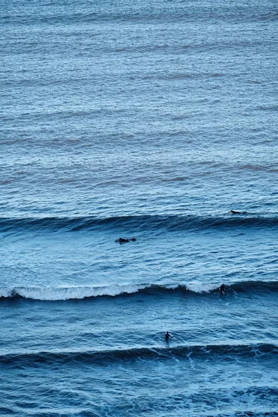 Menschen Die Den Wellen Des Ozeans Surfen Und Schwimmen — Stockfoto