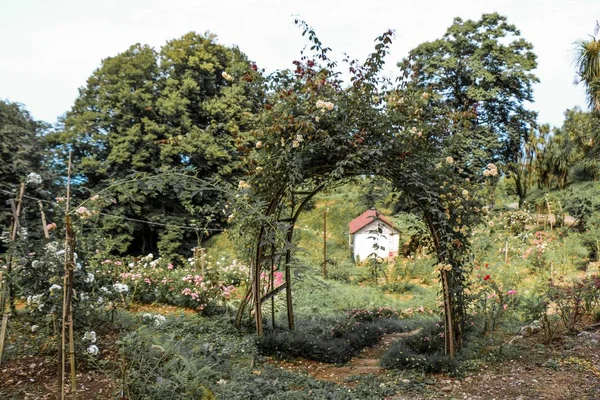 Nettes Haus inmitten eines Gartens, umgeben von verschiedenen Pflanzen — Stockfoto