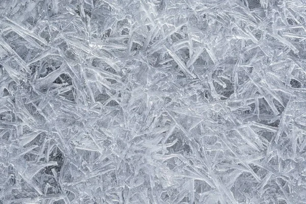 Closeup Frost Ice Sunlight Winter — Stockfoto