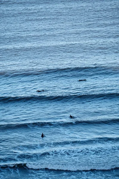 Nsanlar Okyanusta Sörf Yapıyor Yüzüyorlar — Stok fotoğraf