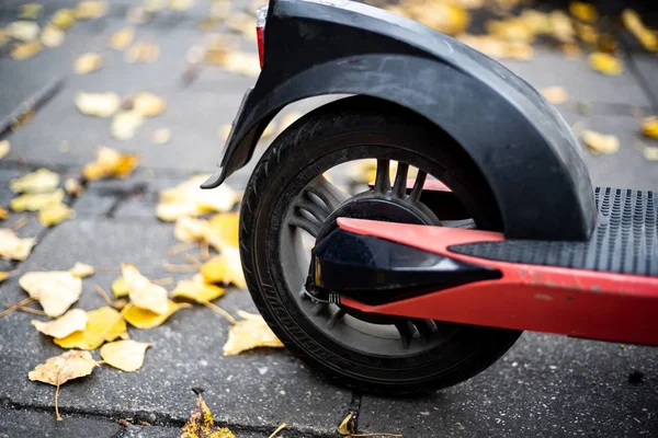 Uno Scatto Ravvicinato Una Ruota Una Moto Circondata Foglie Gialle — Foto Stock