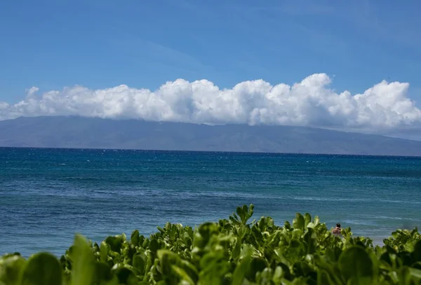 Una Vista Mozzafiato Sull Oceano Cumulus Nuvole Isola Piena Cactus — Foto Stock