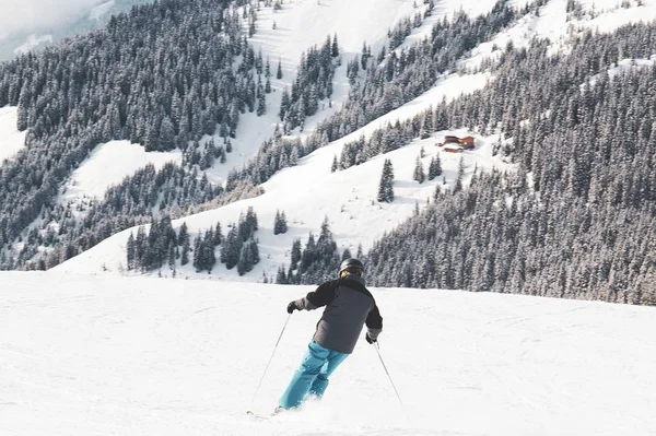 Skifahren in den Bergen, umgeben von vielen Tannen — Stockfoto