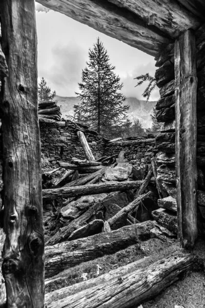 Grayscale Vertical Shot Wooden Window Trees Distance — ストック写真