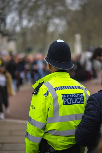 Pionowe ujęcie policjanta przed zabytkowym pałacem Buckingham — Zdjęcie stockowe