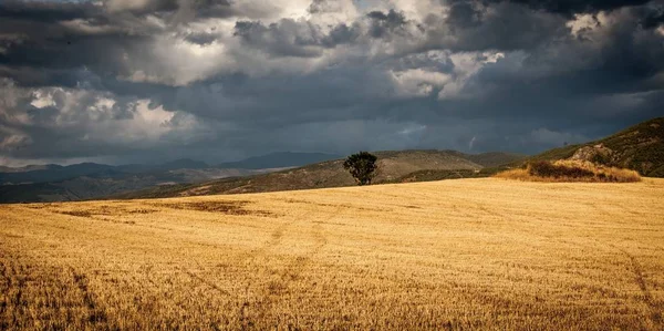 Ett Landskap Ett Fält Omgivet Berg Den Molniga Himlen — Stockfoto