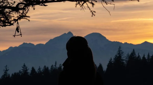 Silhouette Une Personne Entourée Arbres Montagnes Rocheuses Couvertes Neige Coucher — Photo