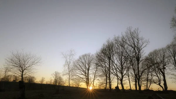 Belo pôr do sol no parque — Fotografia de Stock