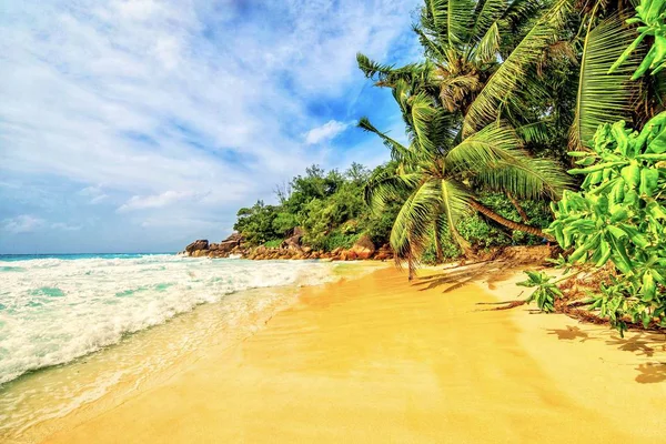 Spiaggia immersa nel verde e nel mare sotto un cielo nuvoloso ad Anse Georgette — Foto Stock