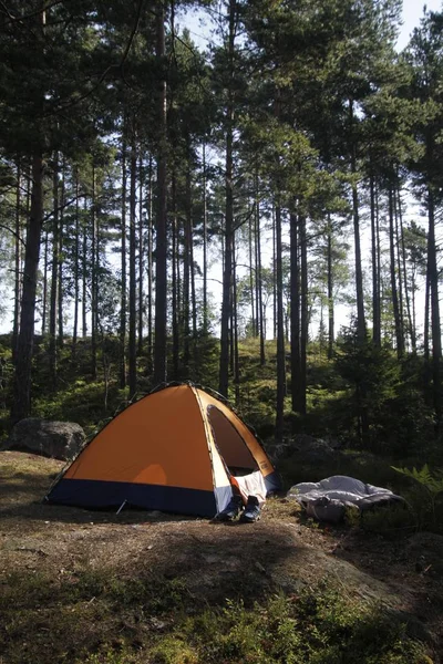 Függőleges lövés egy narancssárga sátorról az erdő közepén — Stock Fotó