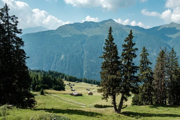 Landscape Rocky Mountains Covered Forests Sunlight Cloudy Sky — ストック写真