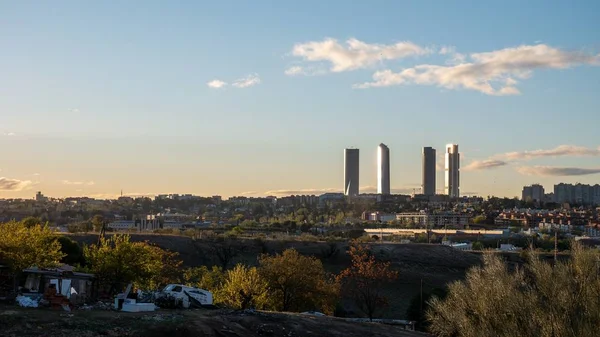 Panoramic Shot City Skyline Bushes Foreground — 图库照片