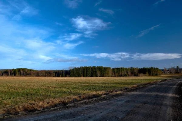Carretera cubierta de tierra rodeada de árboles y hierba bajo la luz del sol y un cielo azul — Foto de Stock