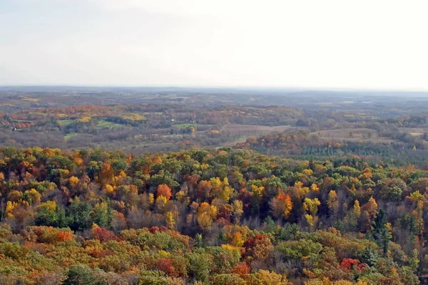 Une Belle Vue Forêt Feuillus Avec Ciel Blanc Arrière Plan — Photo