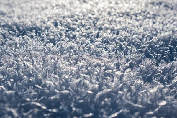 Closeup Frost Sunlight Blurry Background — Stock Photo, Image