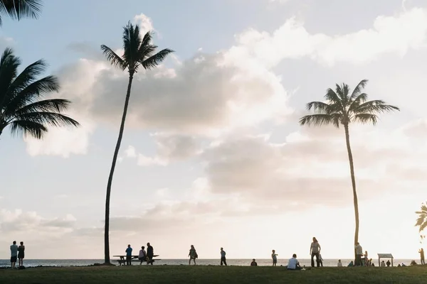 Low Angle Shot Palm Trees People Enjoying Beautiful View Ocean — Stock Photo, Image