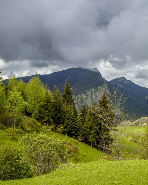 Een Verticaal Beeld Van Heuvels Bedekt Met Bossen Mist Onder — Stockfoto