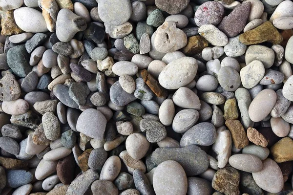 Viele winzige Kieselsteine - ideal für einen kühlen Hintergrund oder eine Tapete — Stockfoto