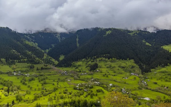 Field Covered Greenery Houses Surrounded Hills Covered Forests Cloudy Sky — Stock Photo, Image