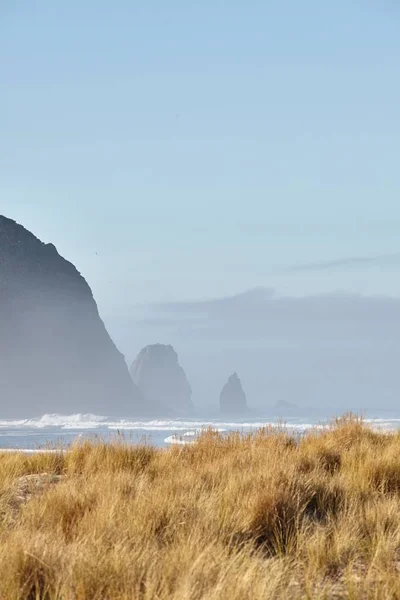 Tiro vertical de la roca Haystack en la niebla de la mañana en Cannon Beach, Oregon — Foto de Stock