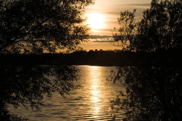 Belo tiro de um rio cercado por árvores durante um pôr do sol — Fotografia de Stock