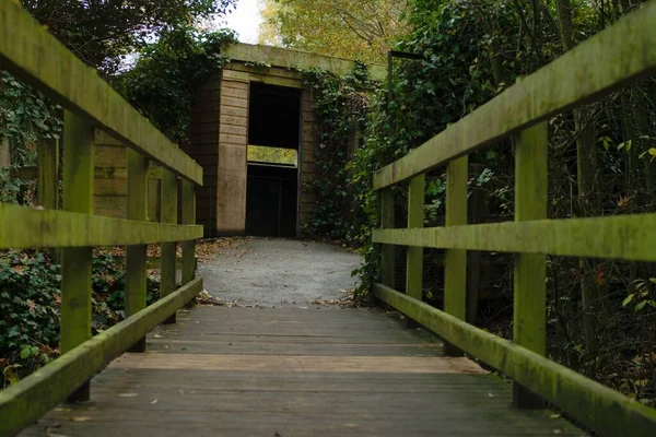 Green Wooden Bridge Surrounded Trees Leading Building — 스톡 사진