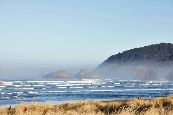 Paisaje Hierba Playa Mañana Cannon Beach Oregon — Foto de Stock