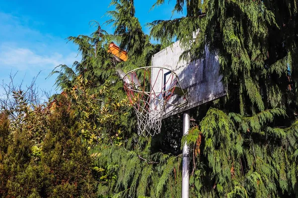 Old Dirty Backboard Surrounded Trees Blue Sky Sunlight — Stock Photo, Image