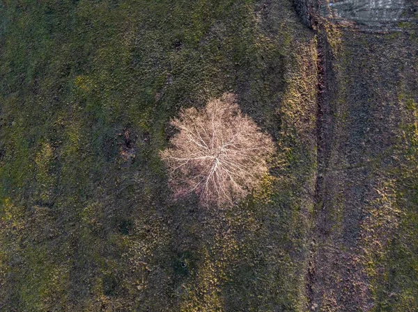 Top down drone tiro — Fotografia de Stock