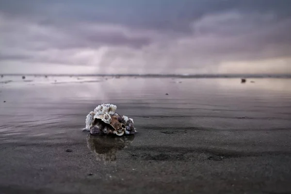 Een Brede Hoek Schot Van Steen Links Het Zand Rond — Stockfoto