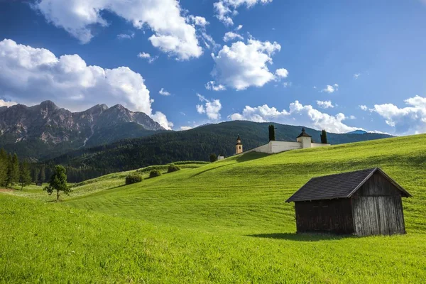 Grassy Field Wooden House Forested Mountain Distance — 스톡 사진