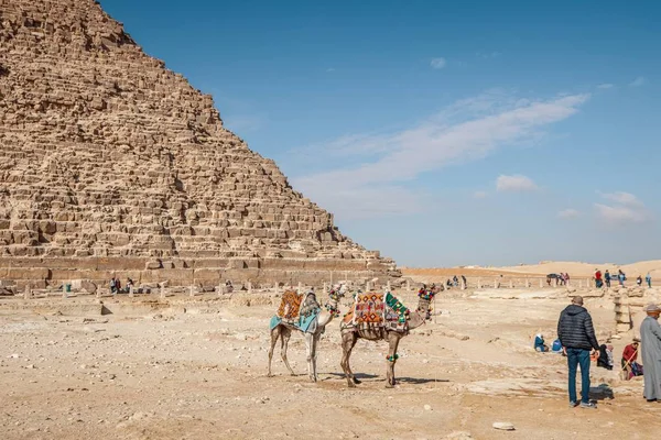 Eine Weitwinkelaufnahme Von Kamelen Und Menschen Neben Einer Ägyptischen Pyramide — Stockfoto