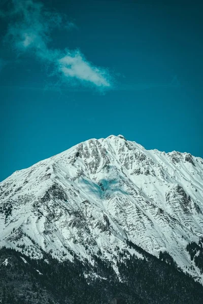 Panoramic Shot Snow Covered Mountain Peak Alpine Trees Base Mountain — 스톡 사진