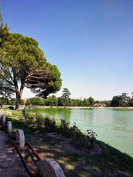 스페인의한 호수가 나무와 초목으로 둘러싸여 — 스톡 사진