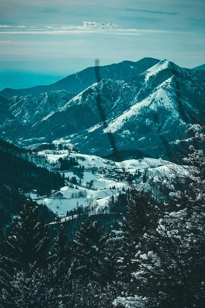 Disparo Vertical Montañas Cubiertas Nieve Árboles Alpinos Primer Plano — Foto de Stock
