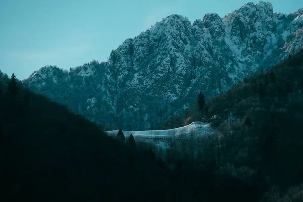 Panoramic Shot Snow Covered Jagged Mountain Peak Alpine Trees Foreground — ストック写真