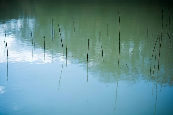 Träpinnar i den turkosa sjön med reflektioner i vattnet — Stockfoto