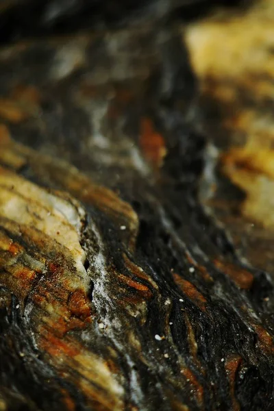 Κοντινό πλάνο της επιφάνειας του ξηρού ξύλου με πολλαπλά χρώματα και μοτίβα — Φωτογραφία Αρχείου