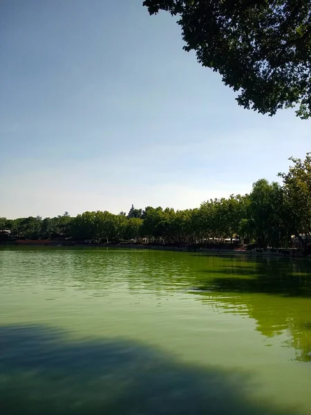 Lago em Espanha cercado por árvores e plantas sob um céu azul claro — Fotografia de Stock