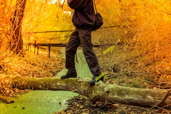 Düşmüş bir ağaç gövdesinden nehri geçmeye çalışan bir erkeğin bacakları. — Stok fotoğraf