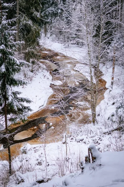 Plan Vertical Angle Élevé Une Petite Rivière Dans Forêt Recouverte — Photo