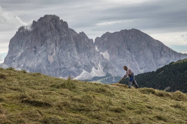 Bella foto di un contadino che rastrella il campo con il Parco Naturale Puez-Geisler, Italia — Foto Stock