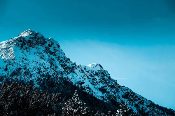 Een Panoramische Opname Van Besneeuwde Scherpe Bergtop Met Alpiene Bomen — Stockfoto