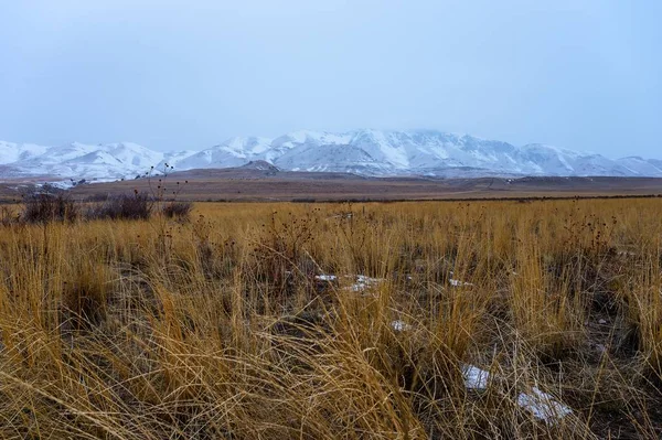 Панорамный Снимок Луга Заснеженными Горами Заднем Плане — стоковое фото