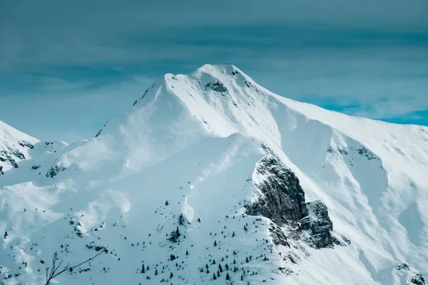 Tiro Panorâmico Neve Coberto Montanha Pico Com Algumas Árvores Alpinas — Fotografia de Stock