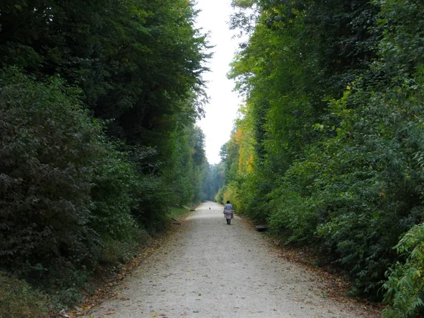 ウィーン オーストリア 2015年10月5日 ウィーンの緑の木々に囲まれた公園を歩く人の風景 — ストック写真