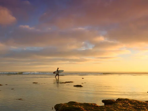 Sörf tahtası olan bir adam güzel bir günbatımı olan bir denizde. — Stok fotoğraf