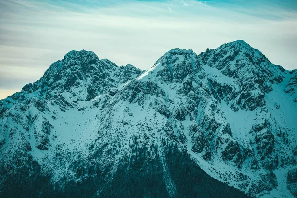 Panoramic Shot Snow Covered Jagged Mountain Peaks Alpine Trees Base — 스톡 사진