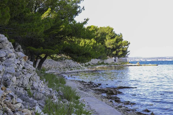 Una Bella Foto Del Mare Vicino Alla Riva Ricoperta Alberi — Foto Stock