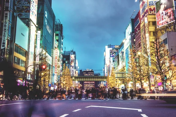 Tokio Japan Ledna 2016 Zimě Rušná Hlavní Ulice Elektrickém Městě — Stock fotografie